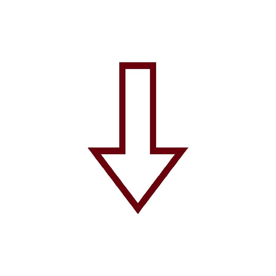 icon of an arrow pointing downward