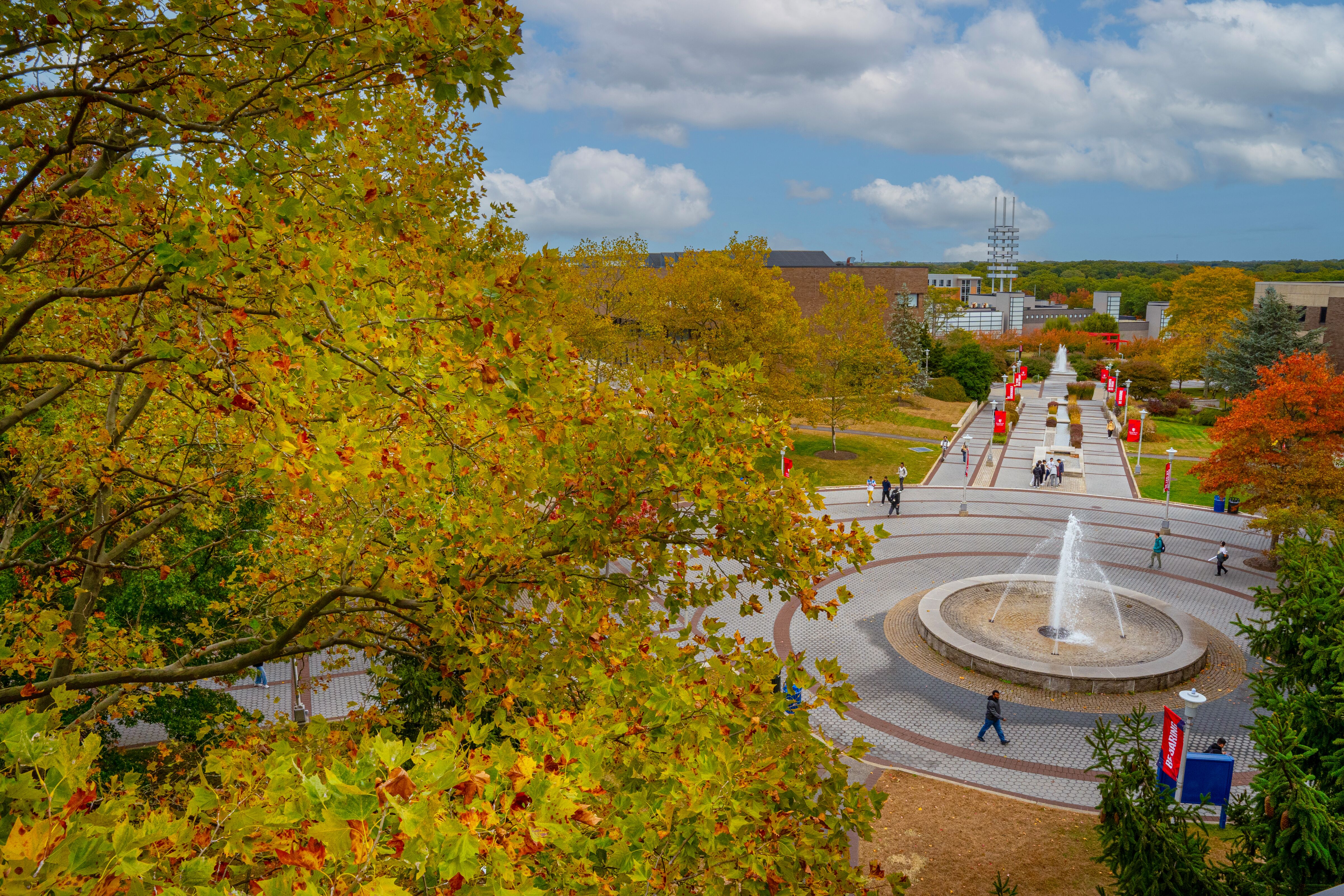 fall mall