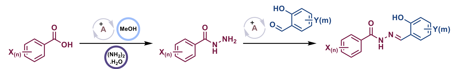 scheme1