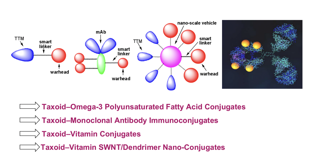 tumor targeting