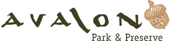 Avalon Park Logo