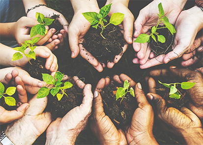 Six hands in a circle, each holding small green plants