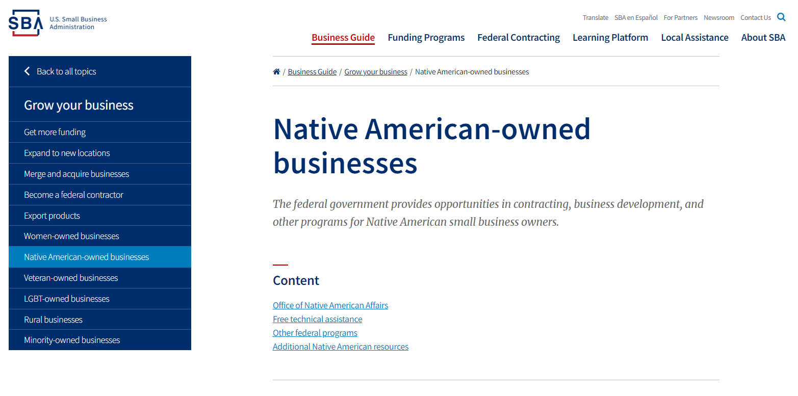 Native Amerian business