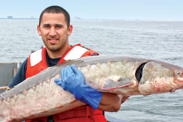 Christopher Martinez holds a sturgeon on the R/V Seawolf