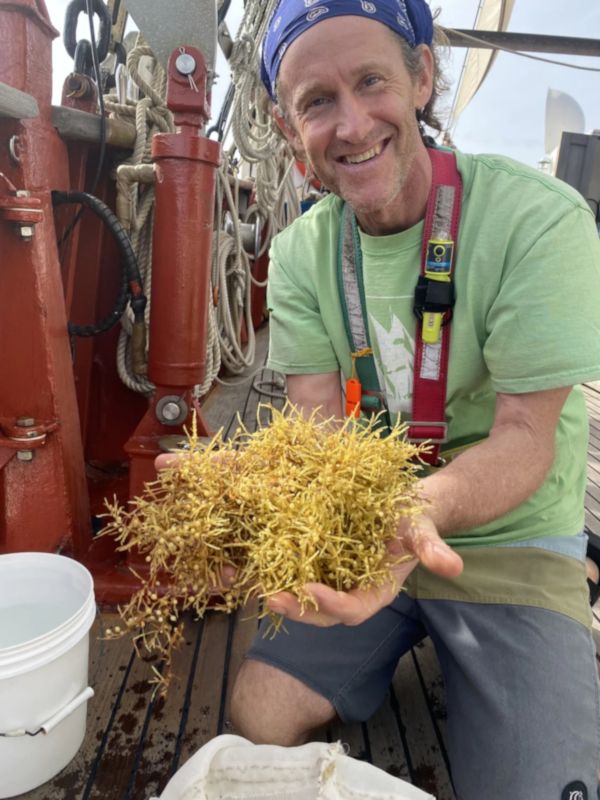 Jeff Schell with Sargassum on board a boat