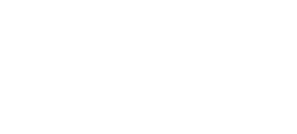 USG Disclaimer